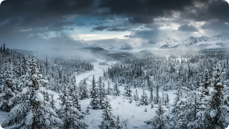 Boreal Forest Section