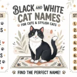 Black and White Cat Names